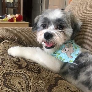 Meet your Posher, Bridgett